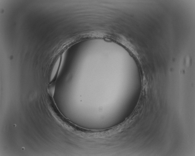 X0000082690013200702091709