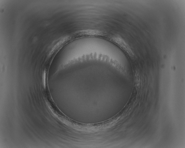 X0000082690014200702091709