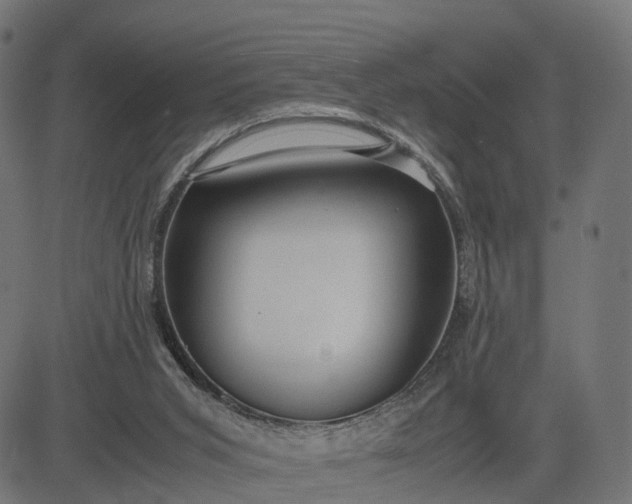 X0000082690015200702091709