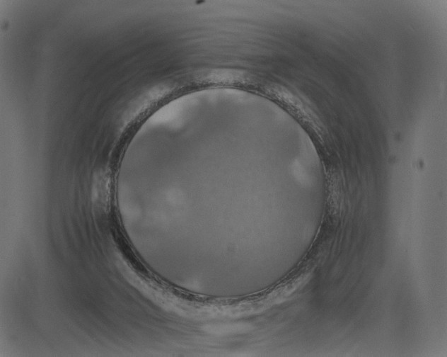 X0000082690016200702091709