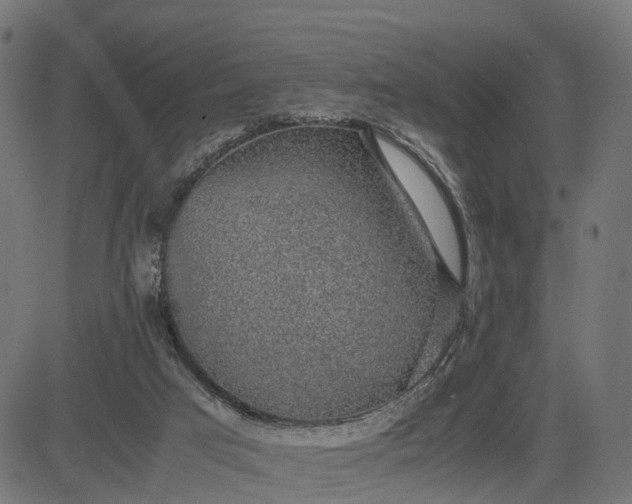 X0000082690017200702091709