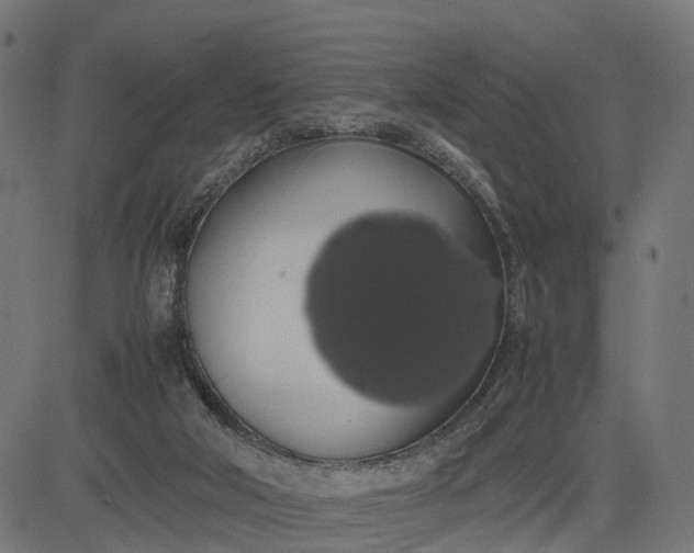 X0000082690018200702091709