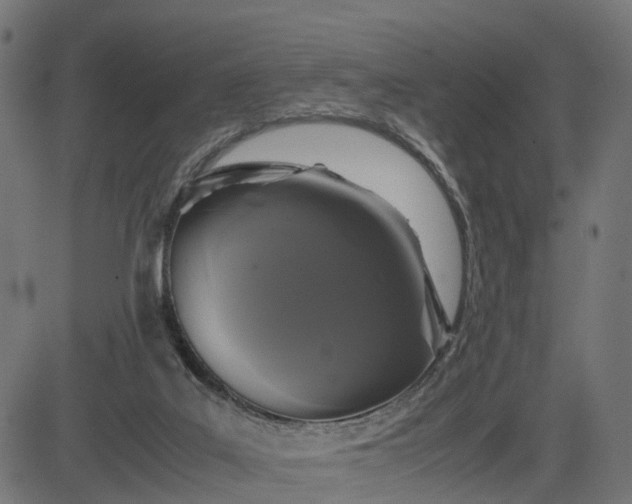 X0000082690019200702091709