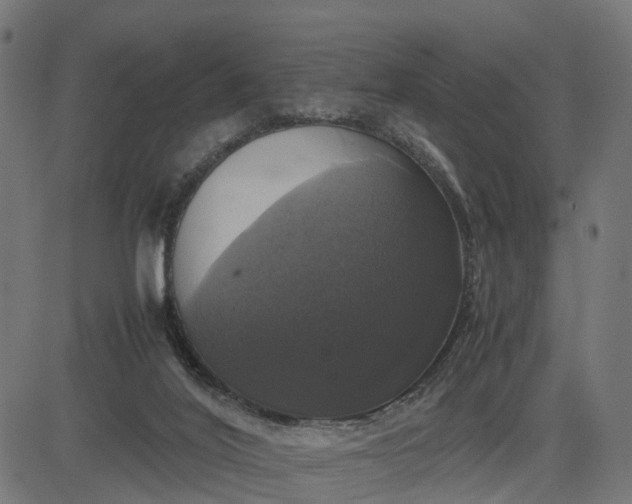 X0000082690020200702091709