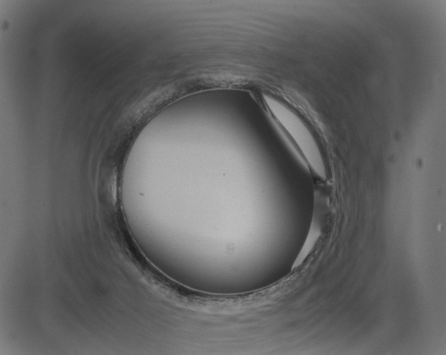 X0000082690021200702091709