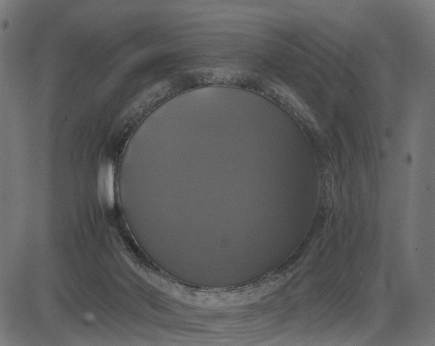 X0000082690022200702091709