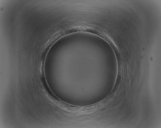 X0000082690023200702091709