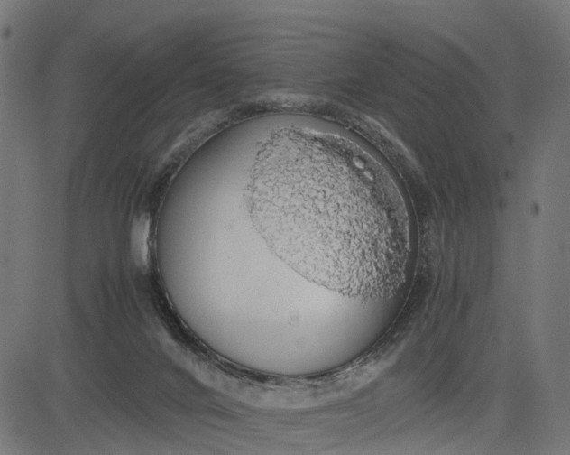 X0000082690024200702091709