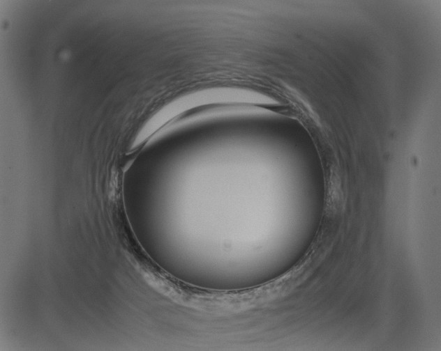 X0000082690025200702091709