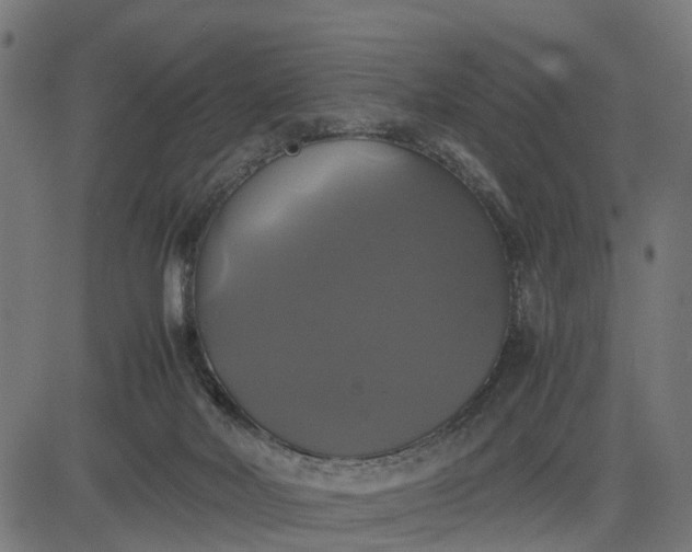 X0000082690026200702091709