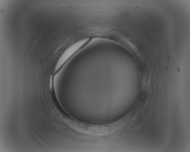 X0000082690027200702091709