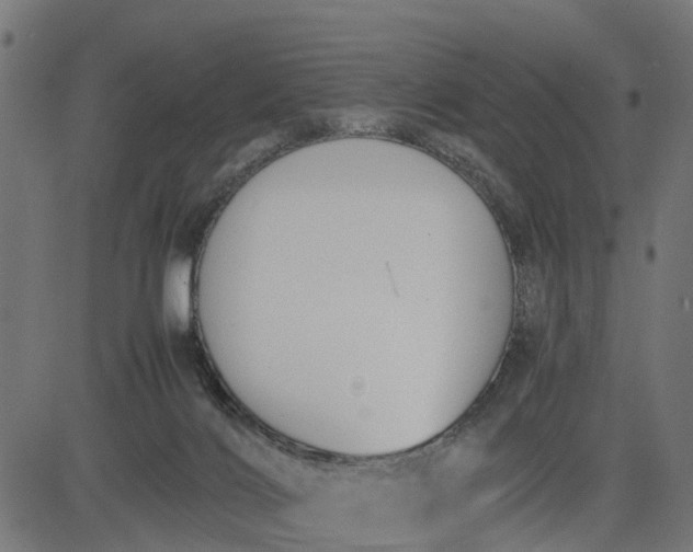 X0000082690028200702091709