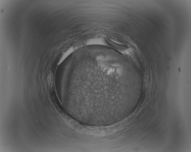 X0000082690029200702091709