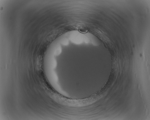 X0000082690030200702091709