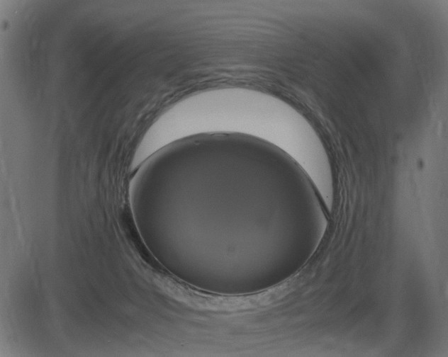 X0000082690031200702091709