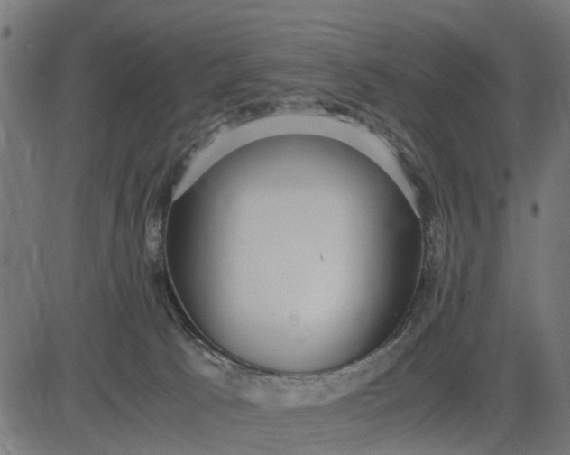 X0000082690033200702091708