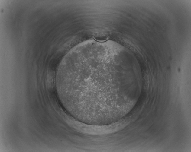 X0000082690034200702091708