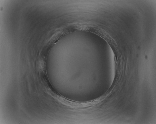 X0000082690035200702091708