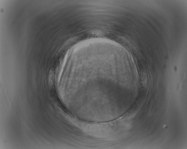 X0000082690036200702091708