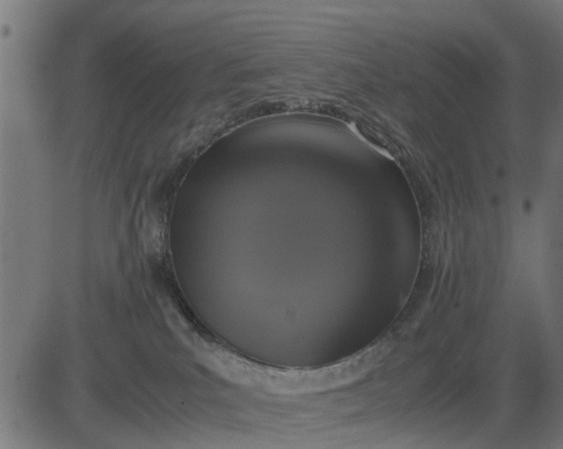 X0000082690039200702091708