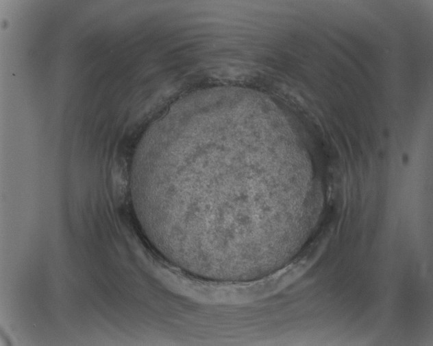 X0000082690040200702091708