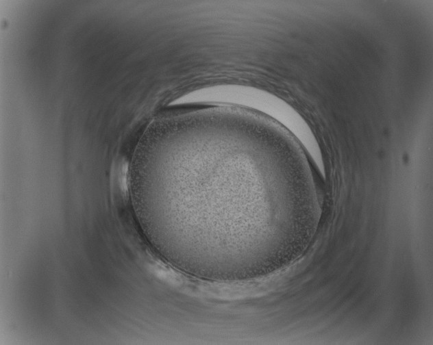 X0000082690041200702091708