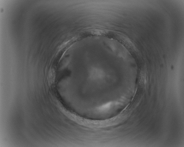 X0000082690043200702091708