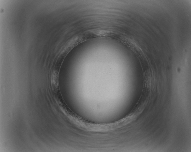 X0000082690044200702091708