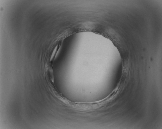 X0000082690045200702091708