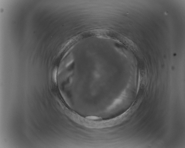 X0000082690047200702091708