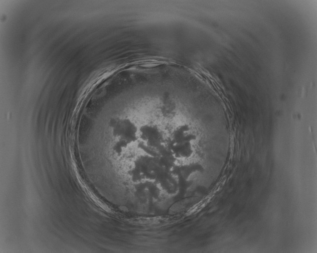 X0000082690049200702091707