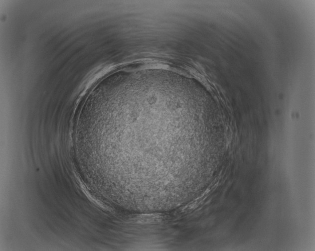 X0000082690050200702091707