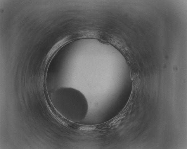 X0000082690051200702091707