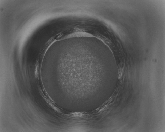 X0000082690052200702091708