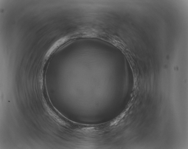 X0000082690054200702091708