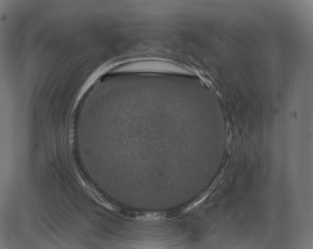 X0000082690056200702091708