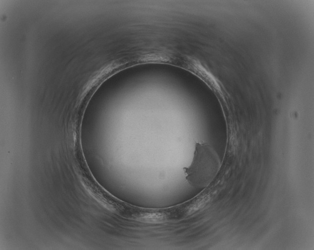 X0000082690059200702091708