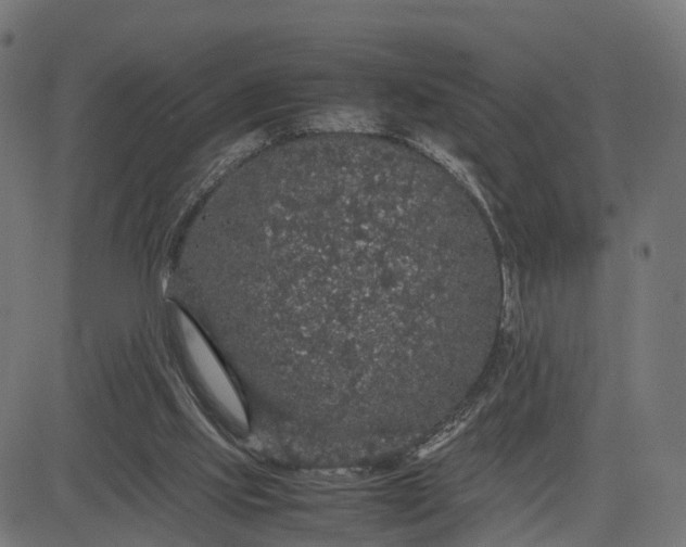 X0000082690061200702091708