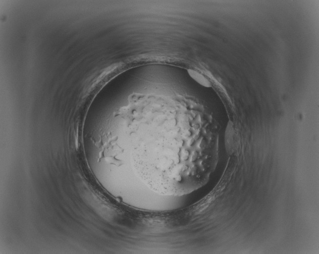 X0000082690062200702091708