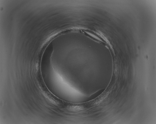 X0000082690063200702091708