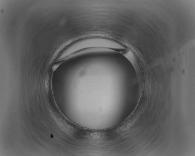 X0000082690064200702091708