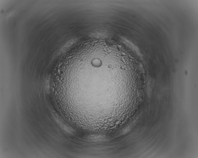 X0000082690065200702091708