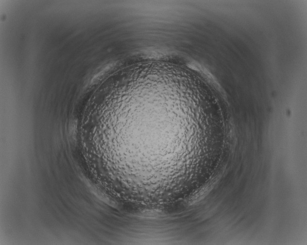 X0000082690066200702091708