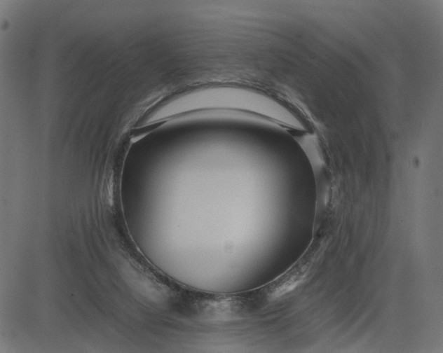 X0000082690068200702091708