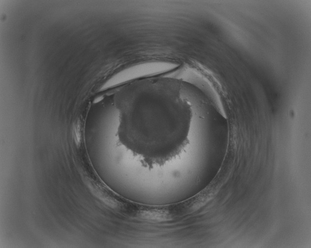 X0000082690069200702091708