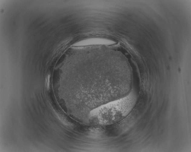 X0000082690070200702091708