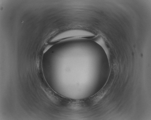 X0000082690072200702091708