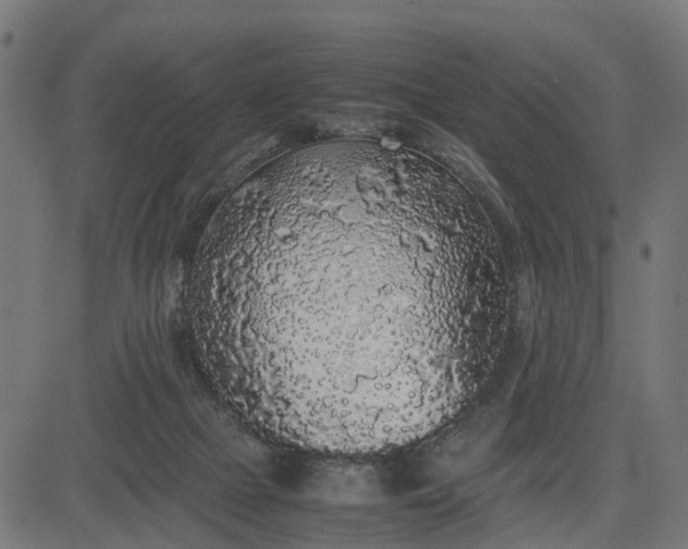 X0000082690073200702091708