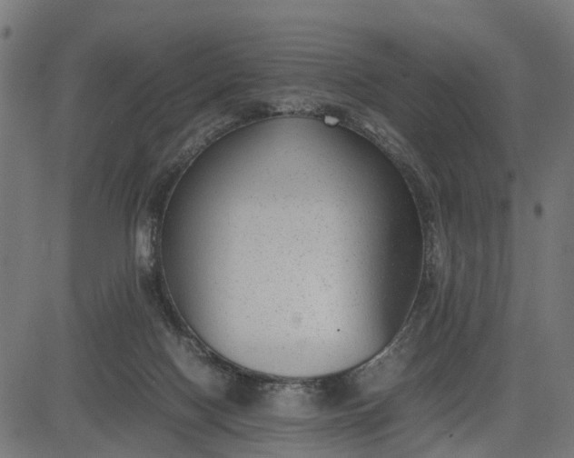 X0000082690074200702091708