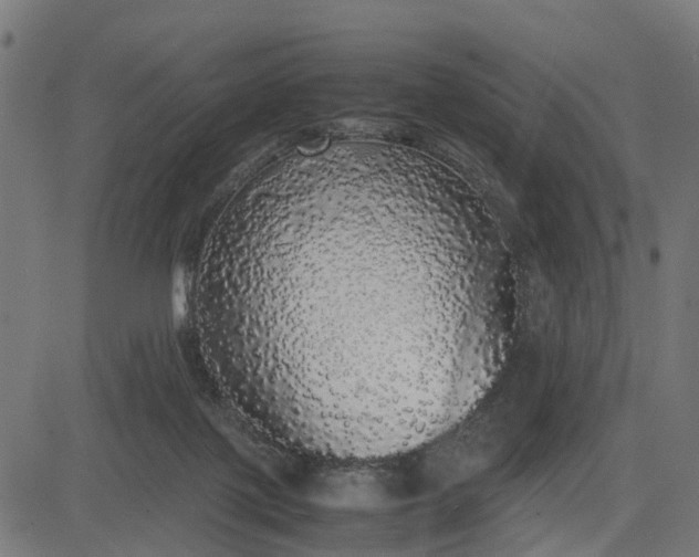 X0000082690075200702091708